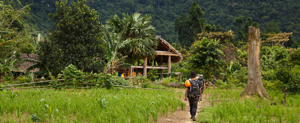 phong-nha-trek